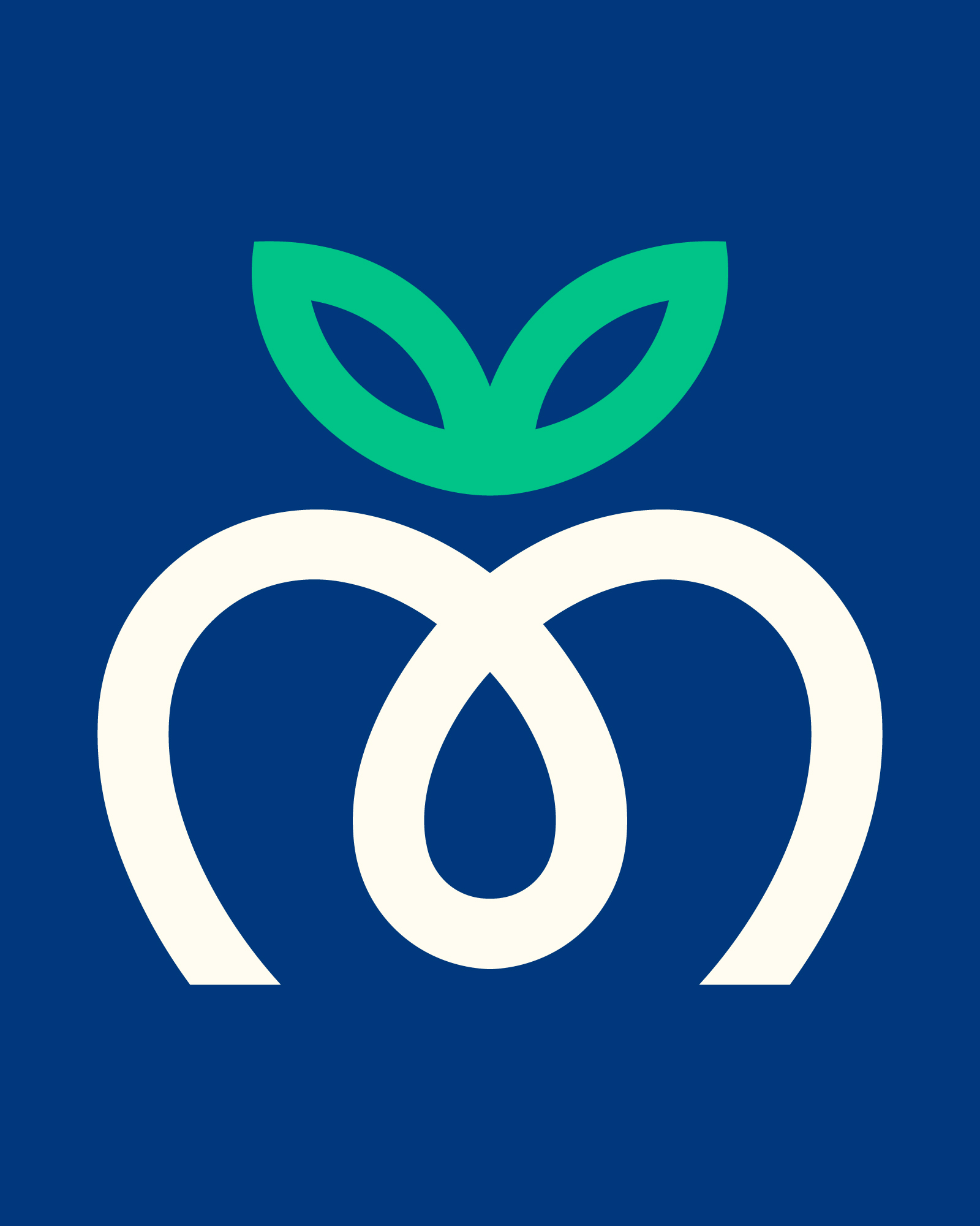 Mantzioros Fruits, project image 6