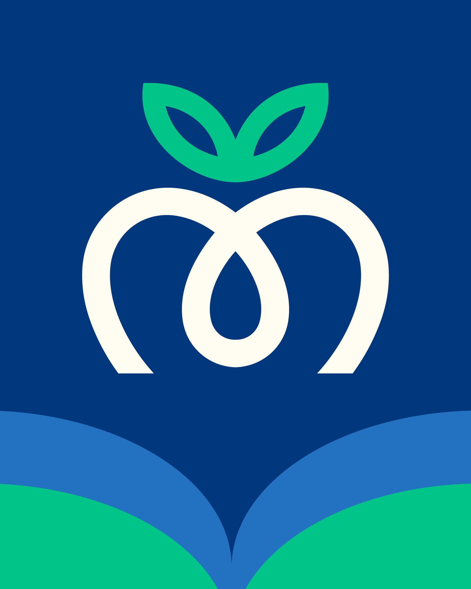 Εξώφυλλο έργου Μαντζιώρος Fruits, Brand Identity από τον Άγγελο Κουρτίδη