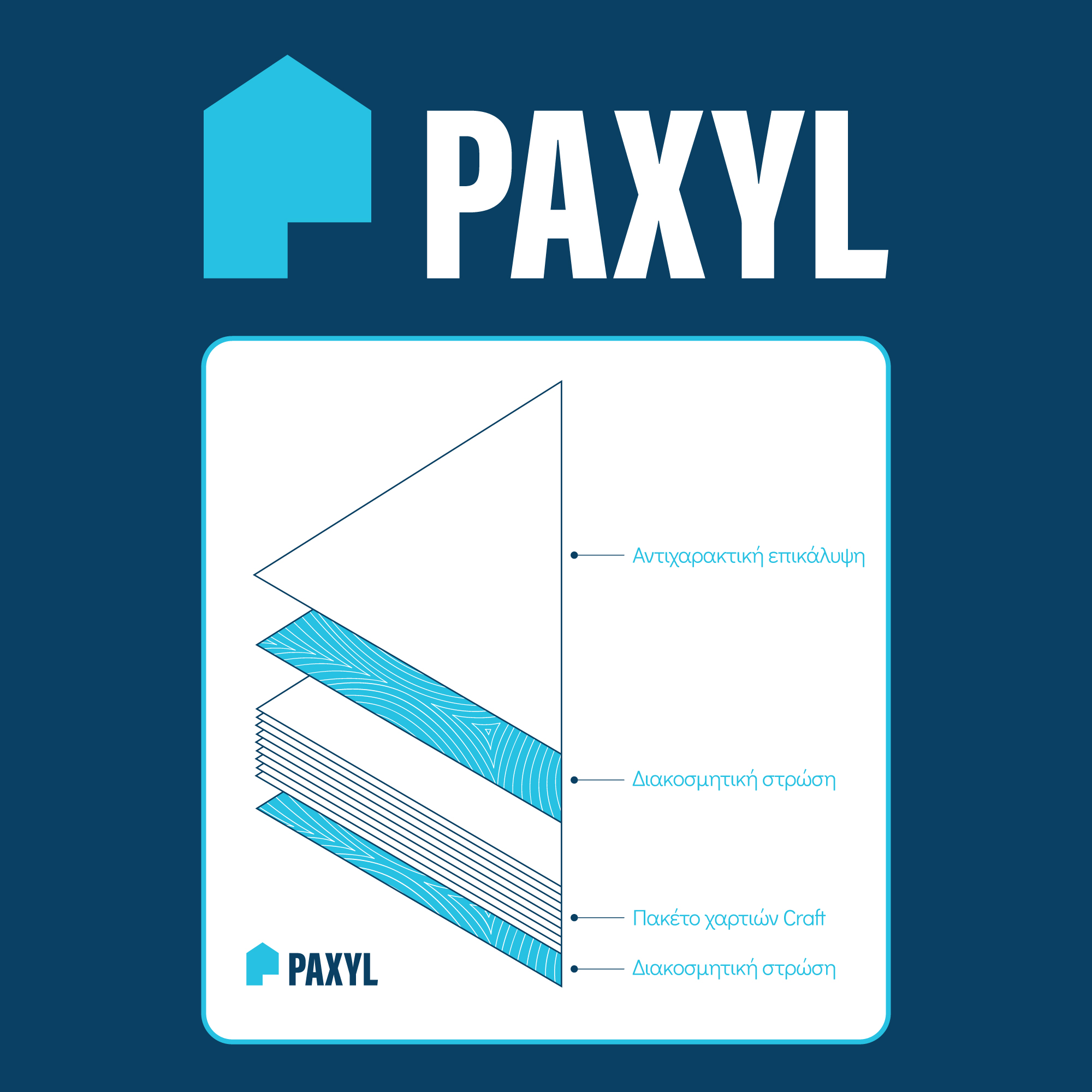 Εξώφυλλο έργου PAXYL, Visual Identity από τον Άγγελο Κουρτίδη