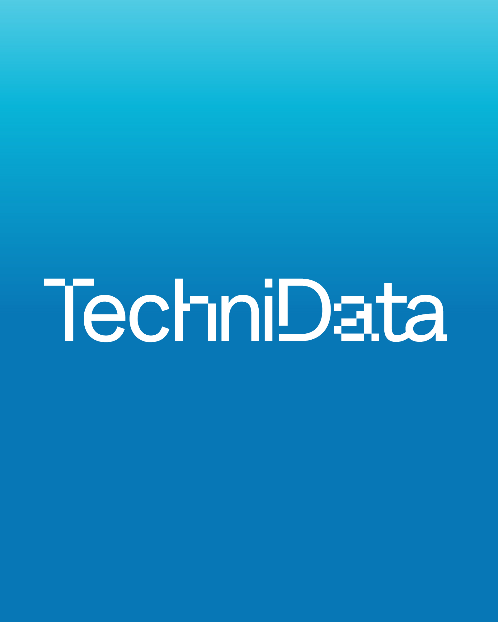 TechniData, παρουσίαση έργου 2