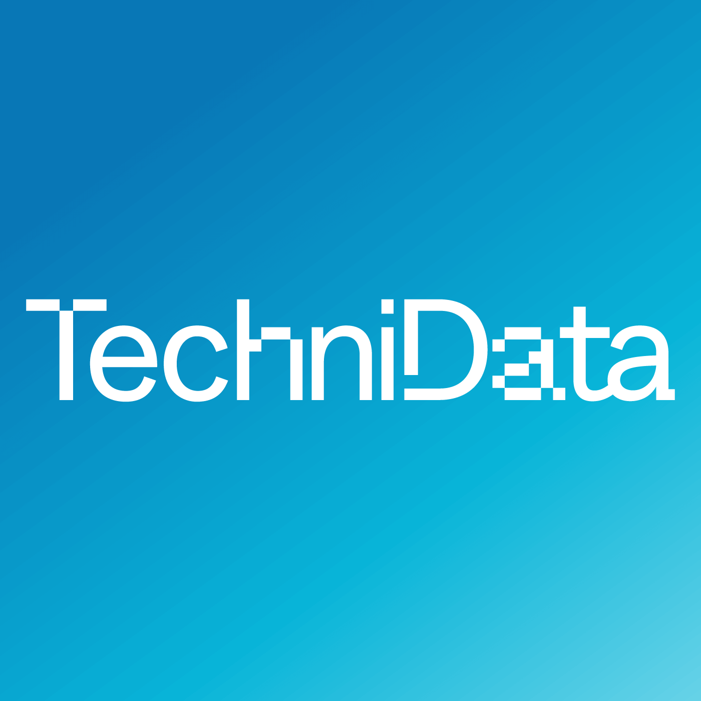 TechniData, παρουσίαση έργου 4