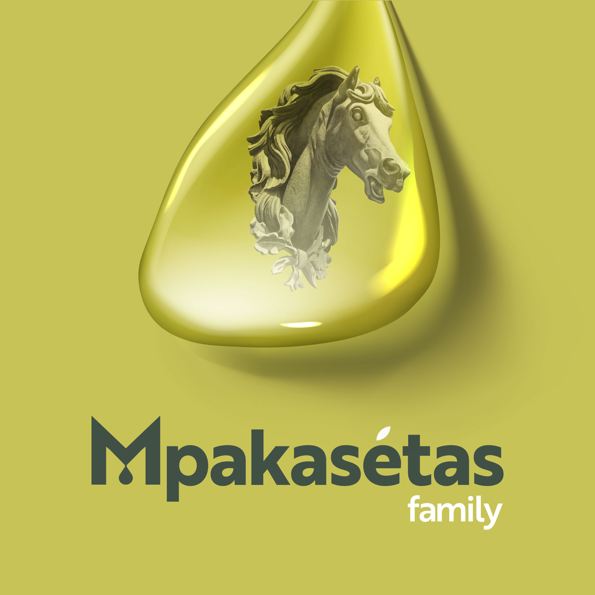 Mpakasetas Family, project image 3